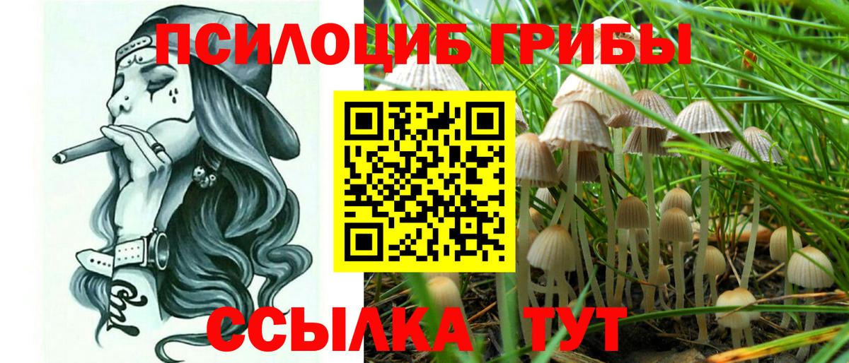 Сальск  Галлюциногенные грибы прущие грибы  Вход с VPN 